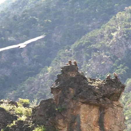 Maison De La Montagne La Decouverte בית נופש Nohèdes
